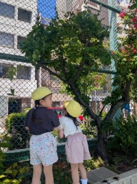 thumbnail_PXL_20250507_001651772