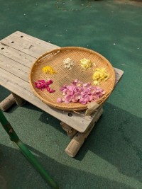 thumbnail_PXL_20250418_001205970 (1)