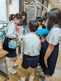 PXL_20251016_020826465.MP