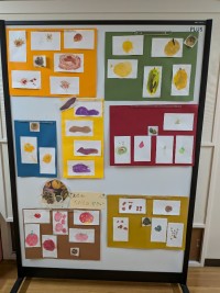 PXL_20251024_100952650