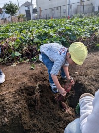 PXL_20251028_011944116