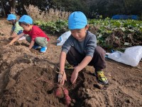 PXL_20251028_011743604~2