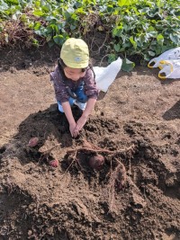 PXL_20251028_012247174