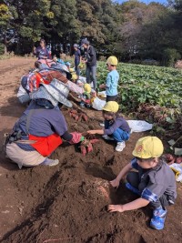 PXL_20251028_012030047.MP