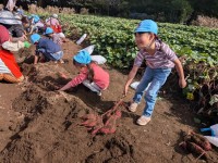 PXL_20251028_012138476