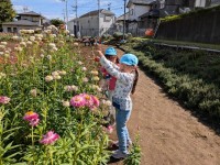 PXL_20251028_024127601.MP