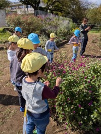 PXL_20251028_024051616