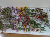 PXL_20251028_074452409