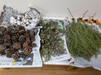 PXL_20251028_074506141