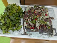 PXL_20251028_074511042