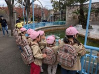 PXL_20251118_010426035