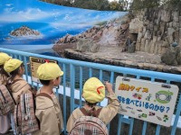 PXL_20251118_011037441.MP