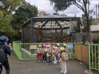 PXL_20251118_013545430.MP