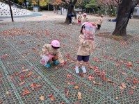 PXL_20251118_015331400.MP