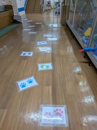 PXL_20251201_224829633