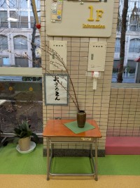 PXL_20260115_222121348.MP