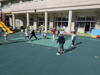 PXL_20260202_011931843.MP