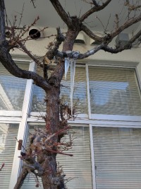 PXL_20260208_232411291.MP (1)