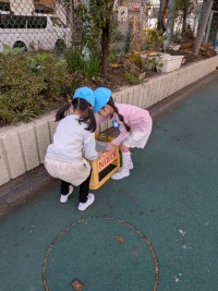 PXL_20260206_035835330.MP (1)