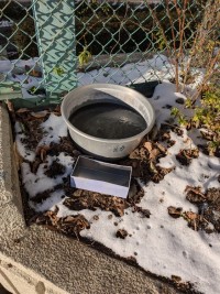 PXL_20260208_223525194 (1)