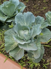 PXL_20250526_010130961