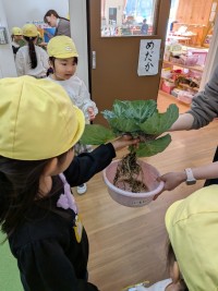 PXL_20260213_000953124