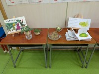 PXL_20260213_030439598