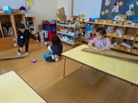 PXL_20260216_034538992.MP