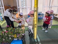 PXL_20260219_002707671 (3)