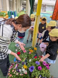 PXL_20260218_002338560.MP