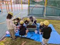 PXL_20260218_002629366.MP