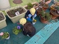 PXL_20260218_003023921