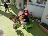 PXL_20260219_035912112