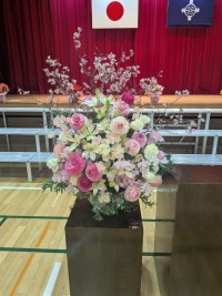 PXL_20260318_000121092